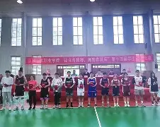  mlb男子棒球系列 